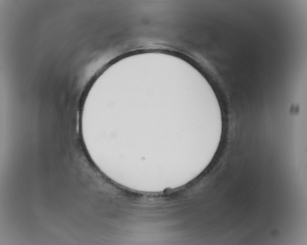 X0000111501269200908251041