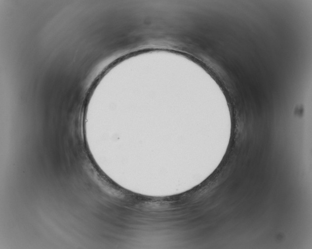 X0000111501272200908251041