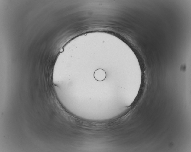 X0000111501273200908251041