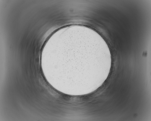 X0000111501275200908251041