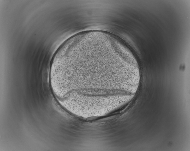 X0000111501276200908251041