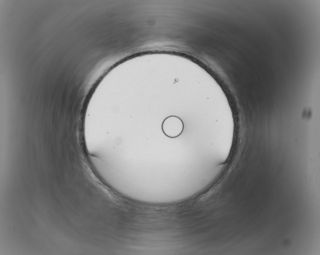 X0000111501277200908251041