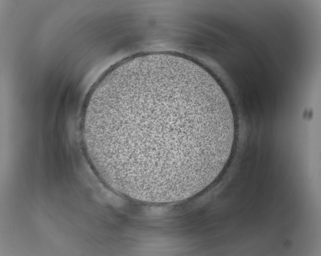 X0000111501278200908251041