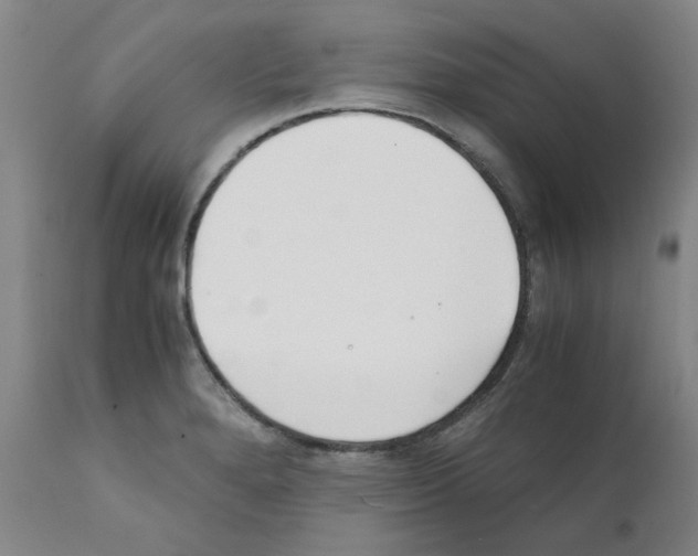 X0000111501280200908251041