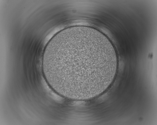 X0000111501282200908251041