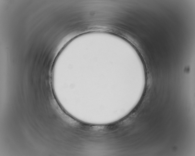 X0000111501283200908251041