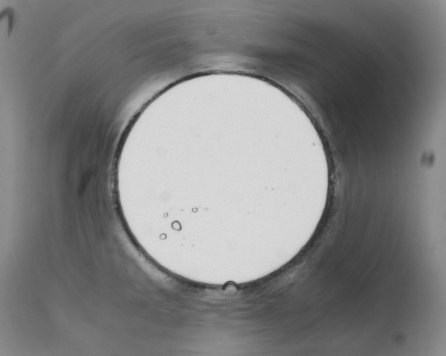 X0000111501285200908251041