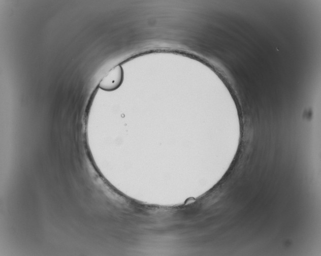 X0000111501287200908251041