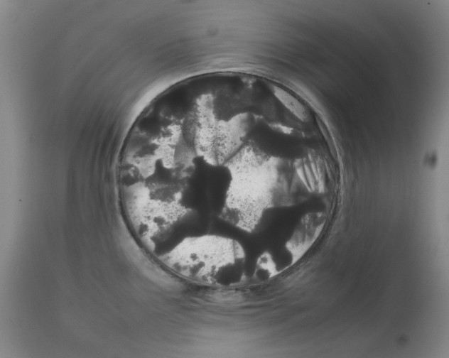 X0000111501291200908251041