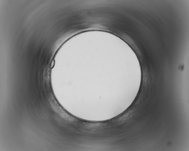 X0000111501292200908251041