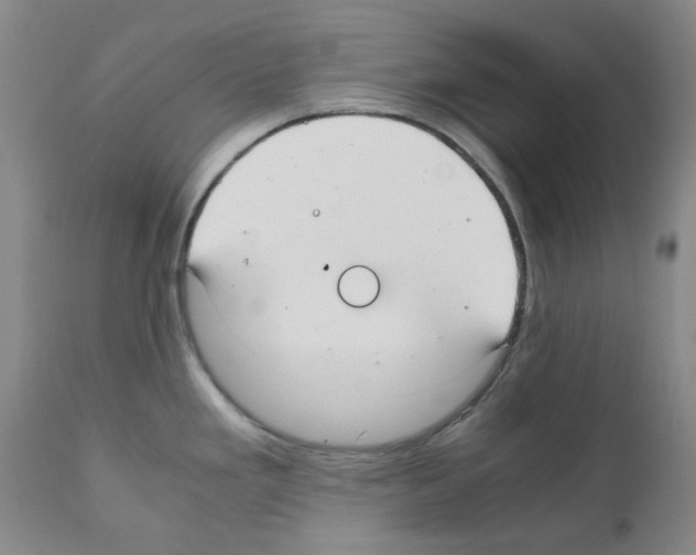 X0000111501293200908251041