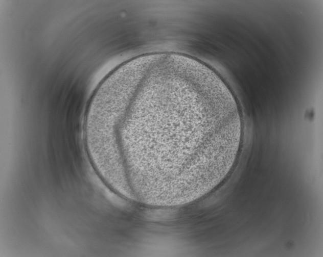 X0000111501294200908251041