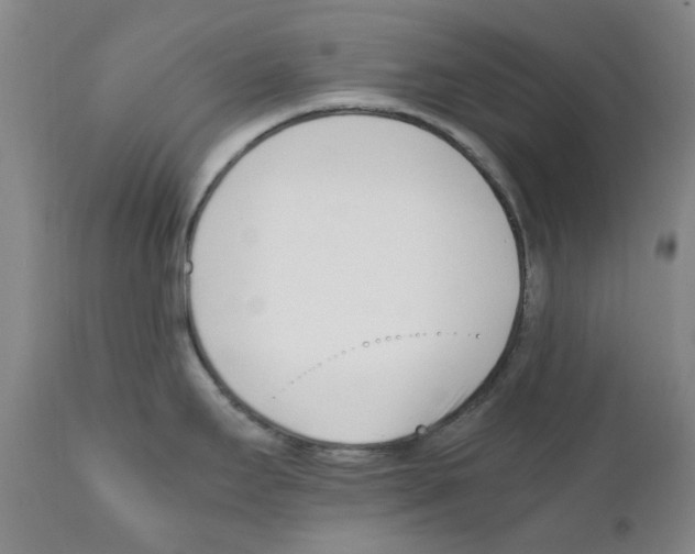 X0000111501295200908251041