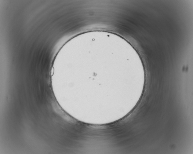 X0000111501296200908251041