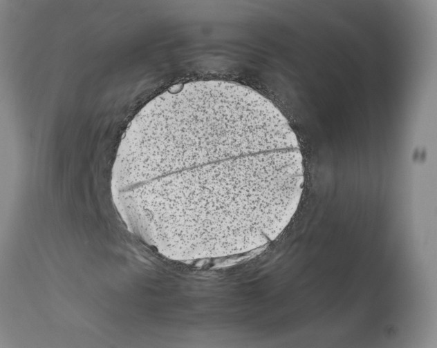 X0000111501297200908251040