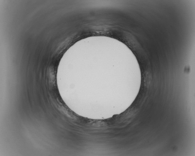 X0000111501298200908251040