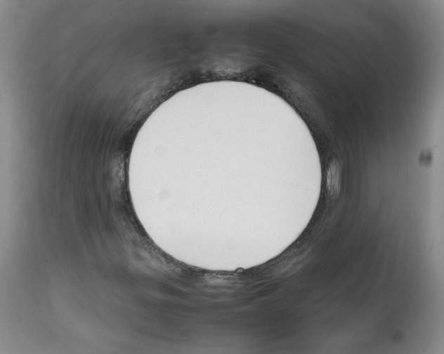 X0000111501299200908251040