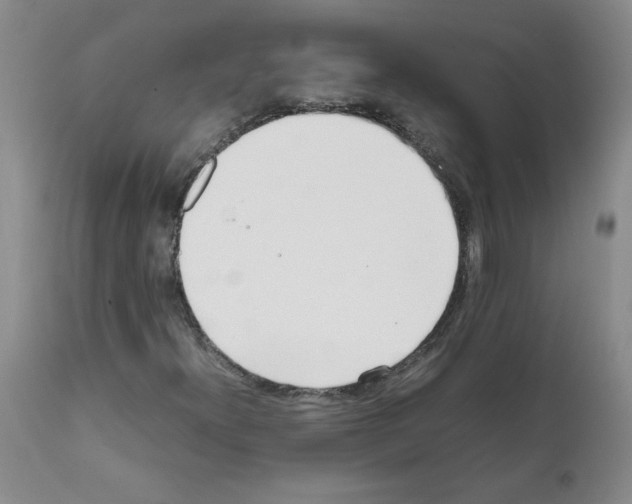 X0000111501300200908251040