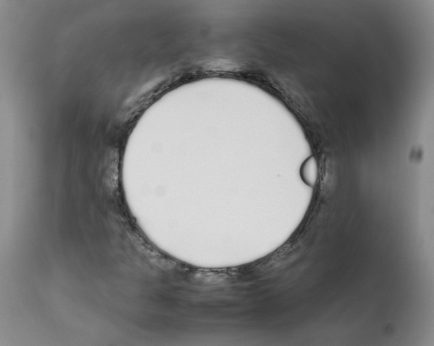 X0000111501301200908251040