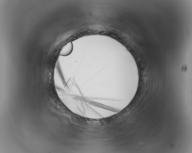 X0000111501302200908251040