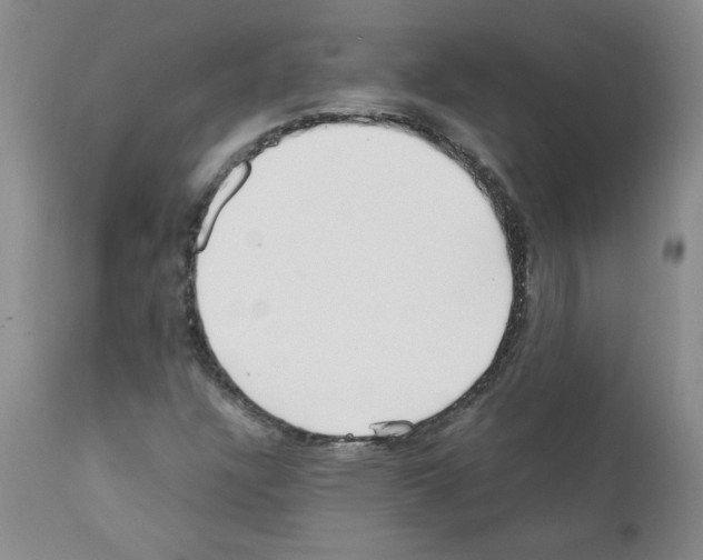 X0000111501304200908251040