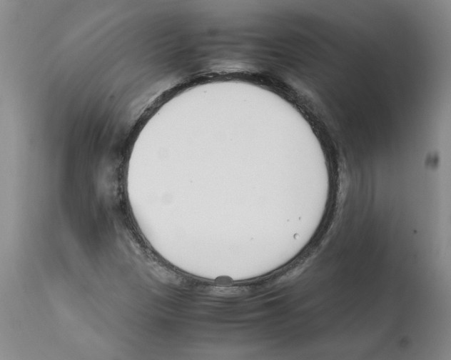 X0000111501305200908251040