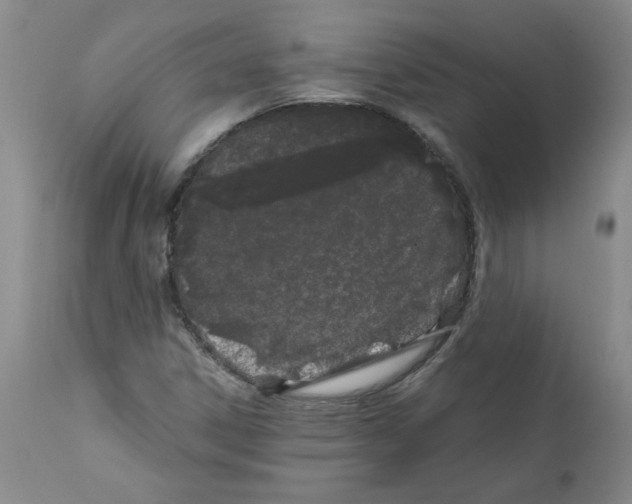 X0000111501306200908251040