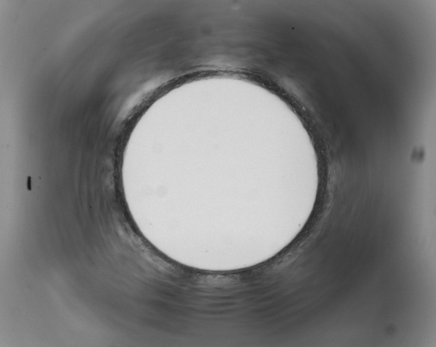 X0000111501307200908251040