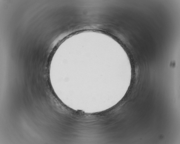 X0000111501308200908251040