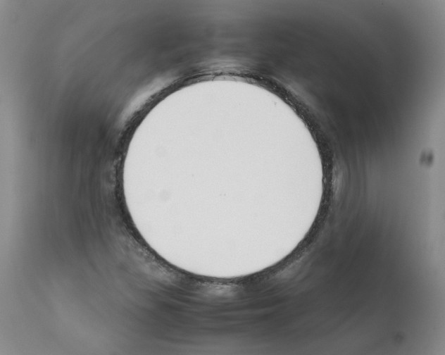 X0000111501309200908251040