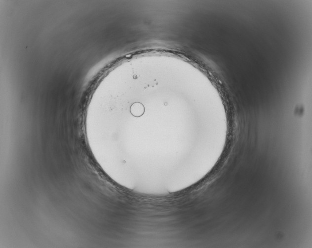 X0000111501310200908251040