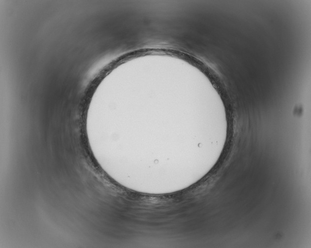 X0000111501311200908251040