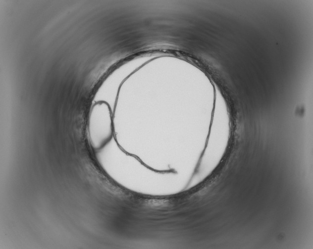 X0000111501313200908251040