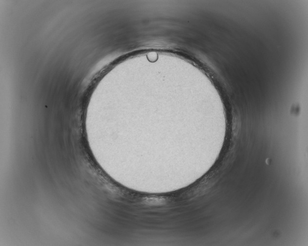 X0000111501315200908251040