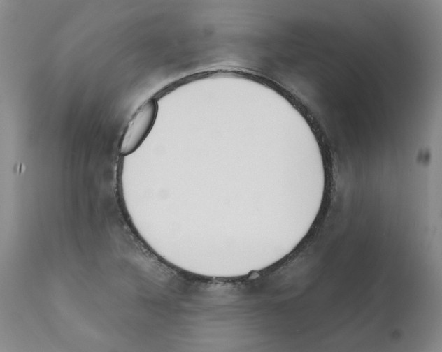 X0000111501316200908251040