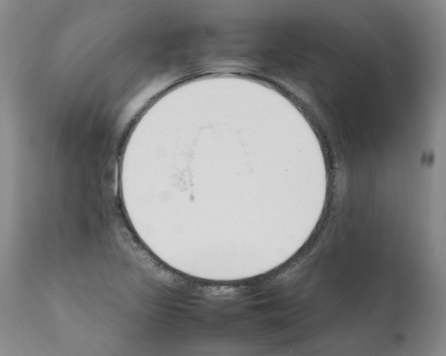 X0000111501317200908251040