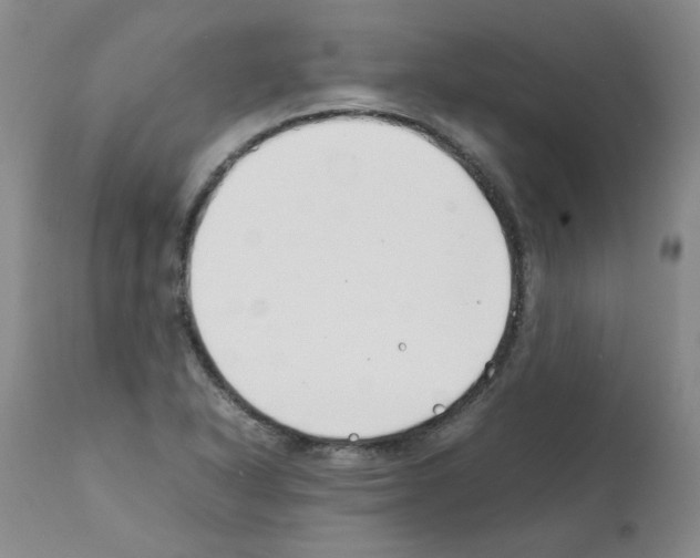 X0000111501318200908251040