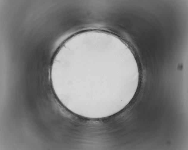 X0000111501320200908251040