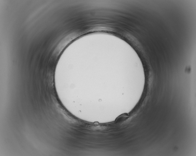 X0000111501321200908251040