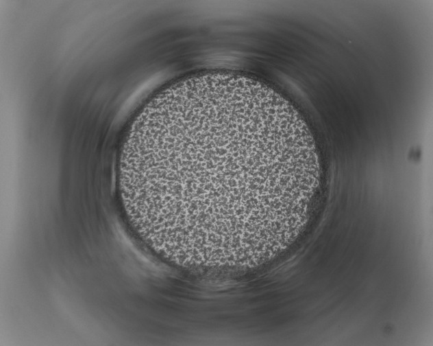 X0000111501323200908251040