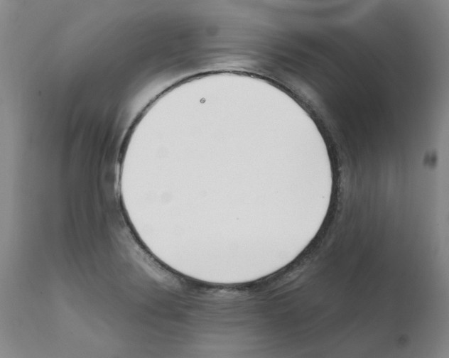 X0000111501324200908251040