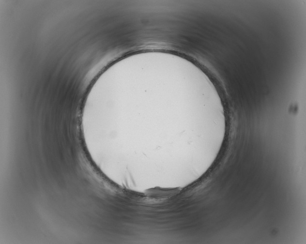 X0000111501325200908251040