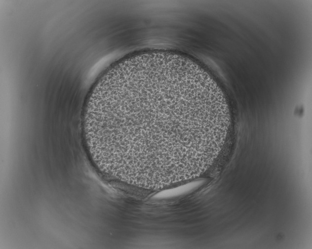 X0000111501327200908251040