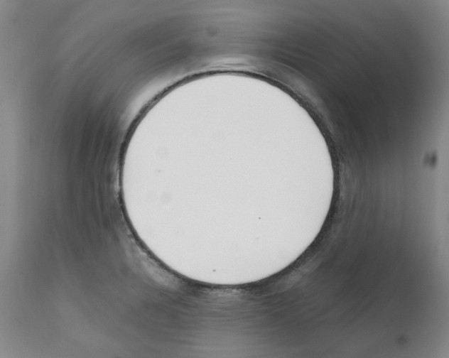 X0000111501328200908251040