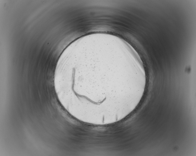 X0000111501329200908251040