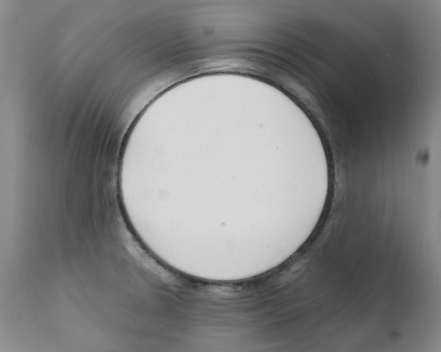 X0000111501330200908251040