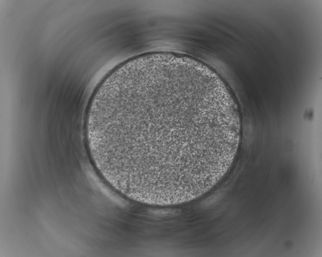 X0000111501331200908251041