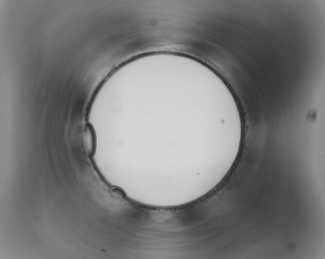 X0000111501332200908251041