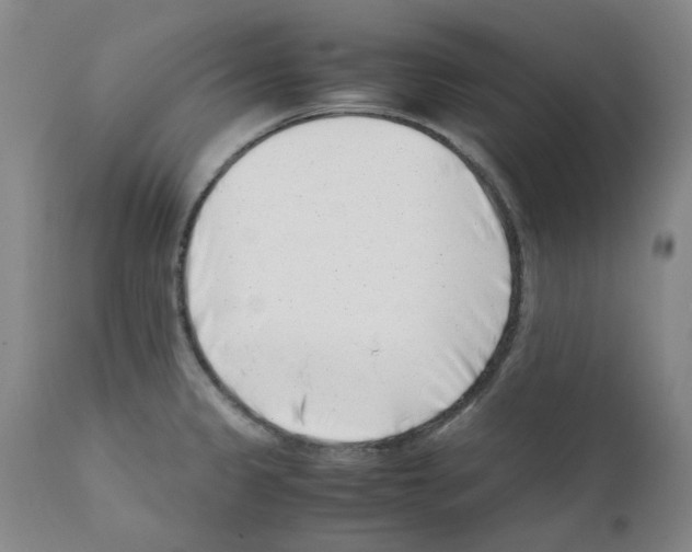 X0000111501333200908251041