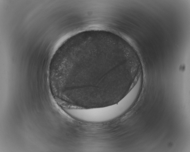 X0000111501334200908251041